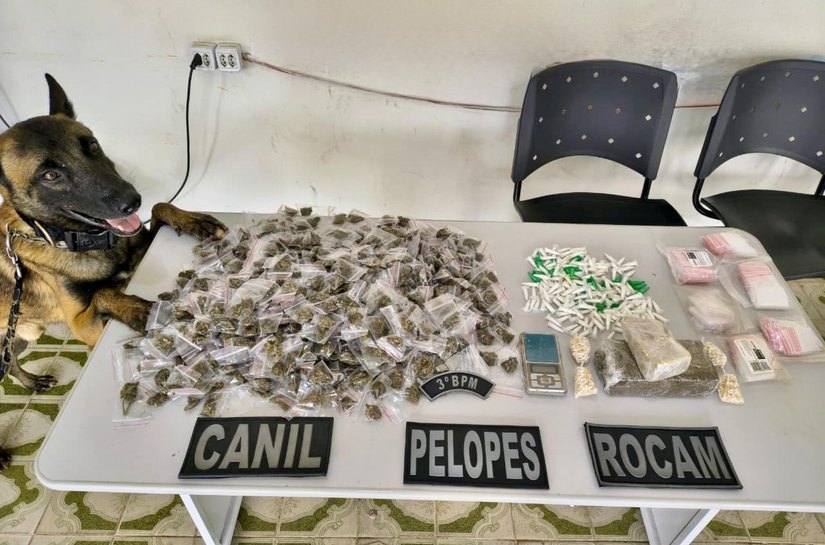 PM apreende 38 armas de fogo e mais de 665 Kg de drogas na última semana em Alagoas