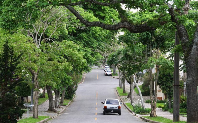 Senado pode aprovar Política Nacional de Arborização Urbana