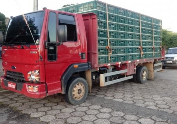 Operação integrada apreende cerca de 9 mil aves sem nota fiscal em Alagoas