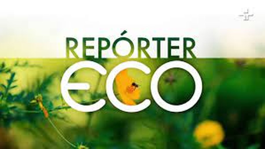 Repórter Eco apresenta edição especial dedicada aos povos indígenas no Brasil