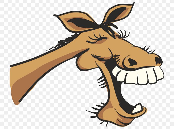 Crônica: O Mata-burro