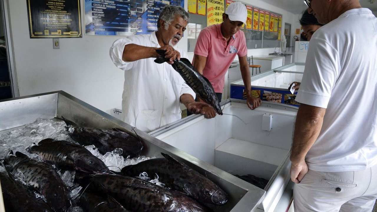 Doença da urina preta: aumento no número de casos gera alerta no Amazonas