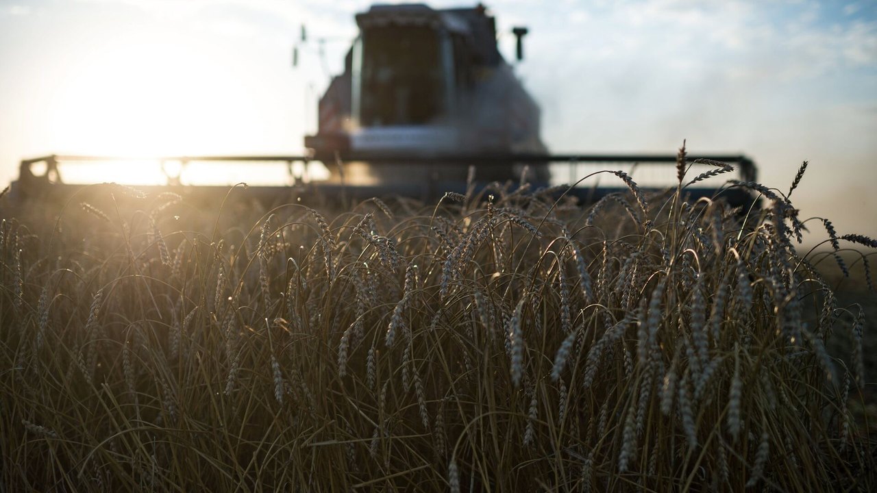 Guerra tarifária: após Brasil, China vai à Argentina substituir produtos agrícolas dos EUA