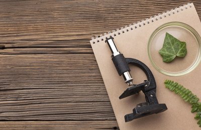 Biologia no Enem: veja como a disciplina é cobrada e dicas de estudos