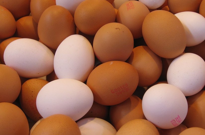 Ovos e colesterol: pesquisadores isentam alimento da culpa por doenças cardíacas