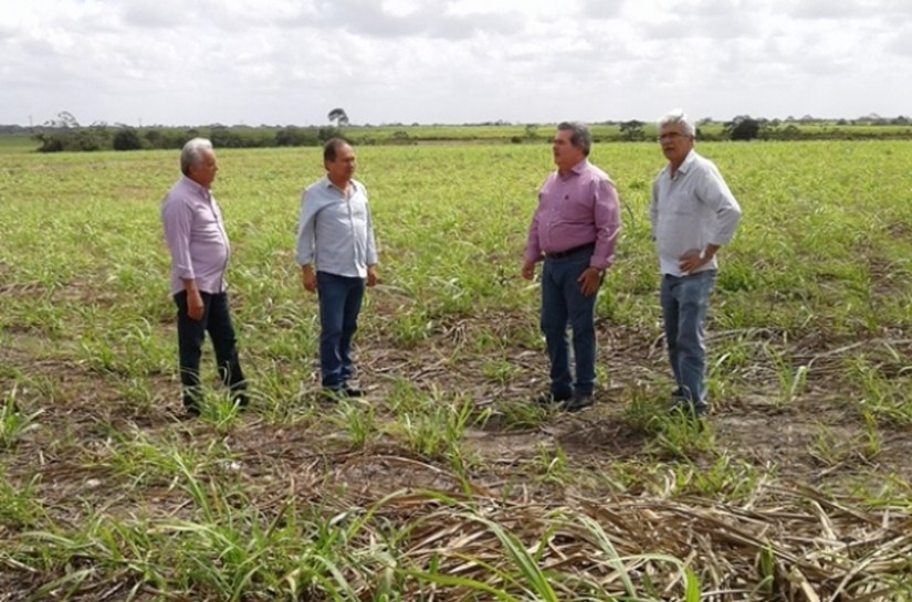 Governo de Alagoas construirá matadouro na Região Norte