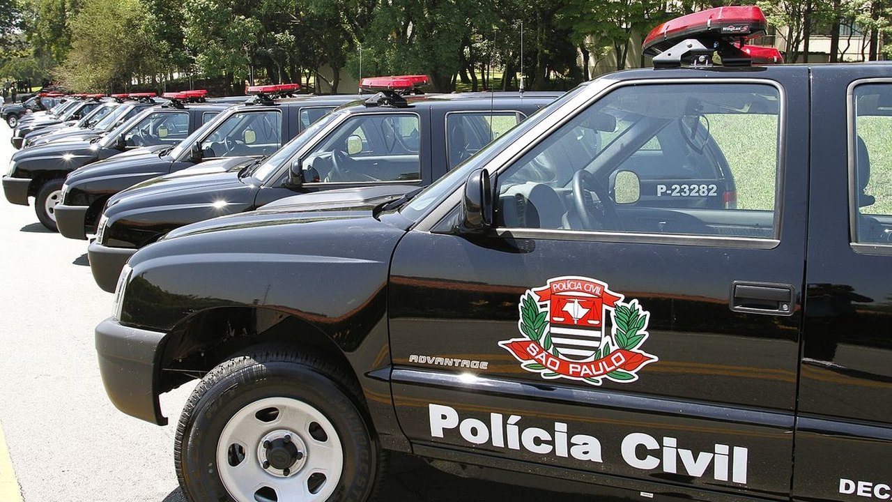 Polícia de SP tenta identificar motorista que atropelou passeador e 5 cães em Higienópolis