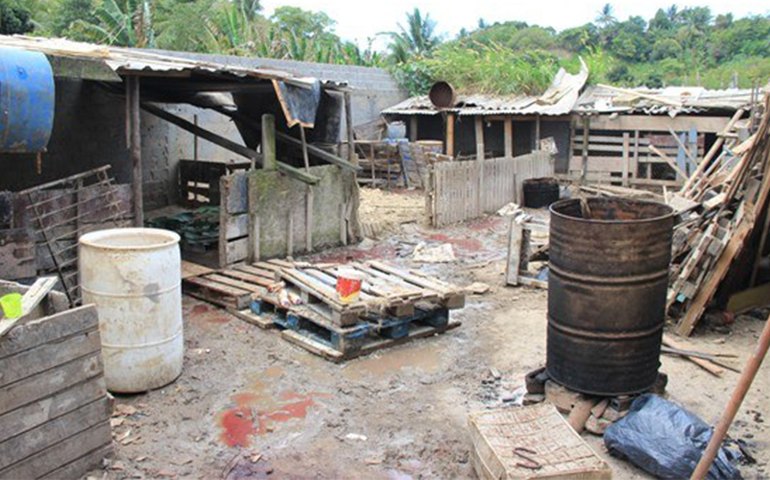 Prefeito de Penedo apresenta durante coletiva novo secretário de Saúde