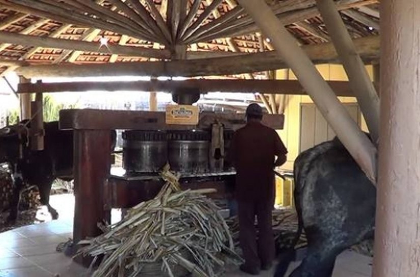 Engenhos de AL garantem turismo de experiência para fugir de clichês