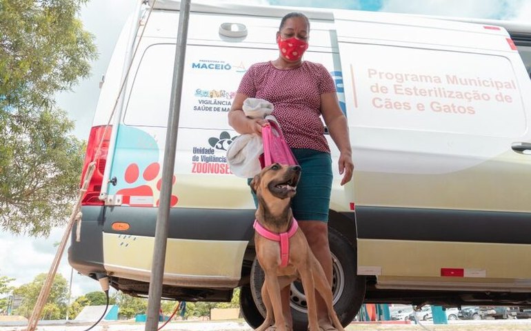 Gabinete da Causa Animal fará atendimento com Castramóvel na terça-feira (15), em Ipioca