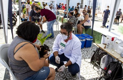 Braskem e Ufal realizam mais de 700 atendimentos veterinários com o Programa de Acolhimento de Animais