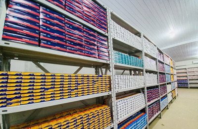 Farmácia do Povo de Palmeira realiza mais de 19 mil atendimentos no primeiro semestre de 2026