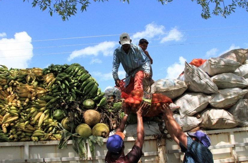 Estado potencializa investimentos a pequenos agricultores no Sertão