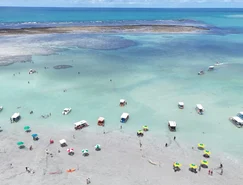 WhatsApp Image 2026-04-22 at 11.44.10.jpeg 