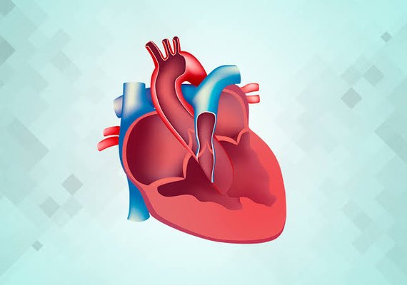 Governo de Alagoas assegura cirurgia e tratamento para criança cardiopata