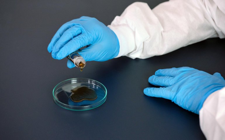 Governo autoriza mais R$ 1,5 milhão para 60 projetos de pesquisa lançados pela Fapeal