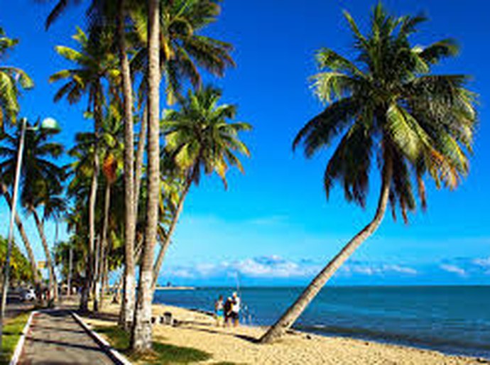 Dia Mundial de limpeza das praias acontece neste sábado