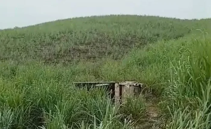 Veículo ficou tombado às margens da rodovia após o acidente