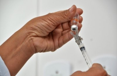 Palmeira recebe mais um lote destinado à segunda dose da vacina contra a Covid-19