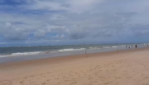 praia dos artistas / Foto: Reprodução