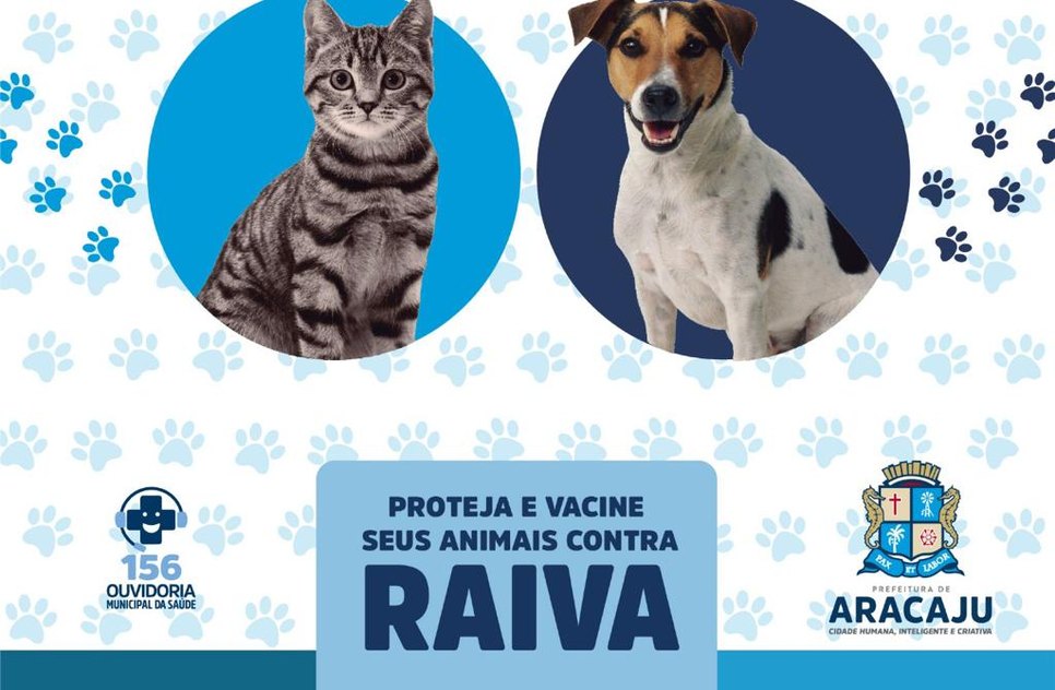 Vacinação antirrabica / Foto: Arte/SMS