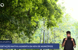 Mata Atlântica: vegetação nativa aumenta em 45% dos municípios