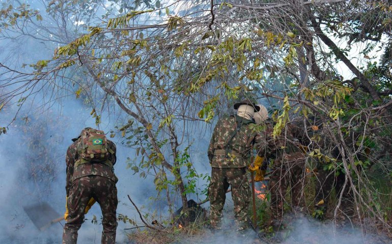 Brigada Lobo D’Almada realiza exercício da força de poio à defesa civil