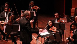 Orquestra / Foto: Foto: Tamara Mannis