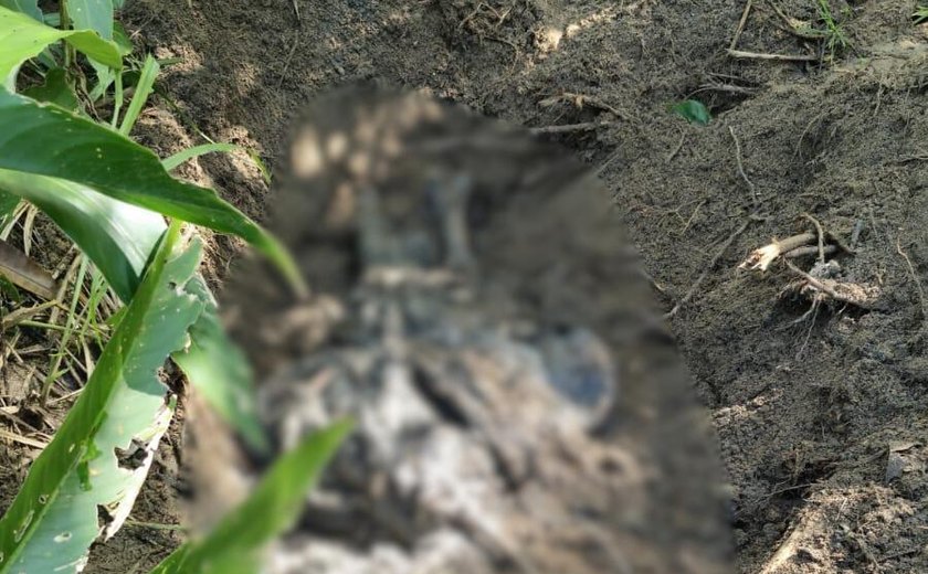 Corpo é encontrado em área de mata em São Miguel dos Milagres