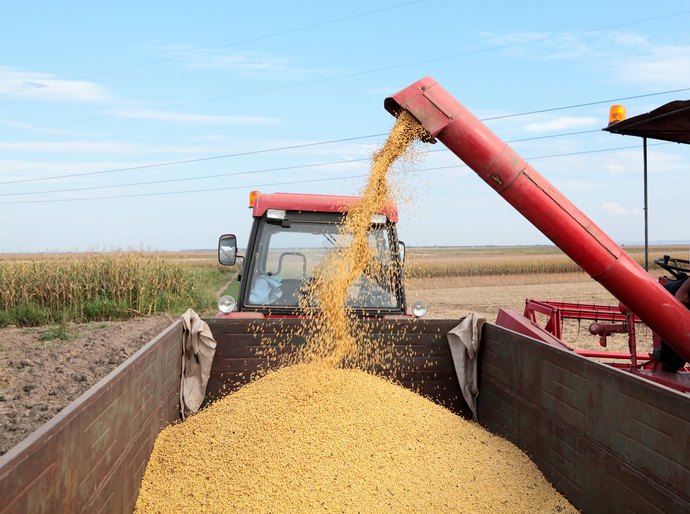 IBGE projeta crescimento da Safra 2026 no Nordeste com destaque para Piauí