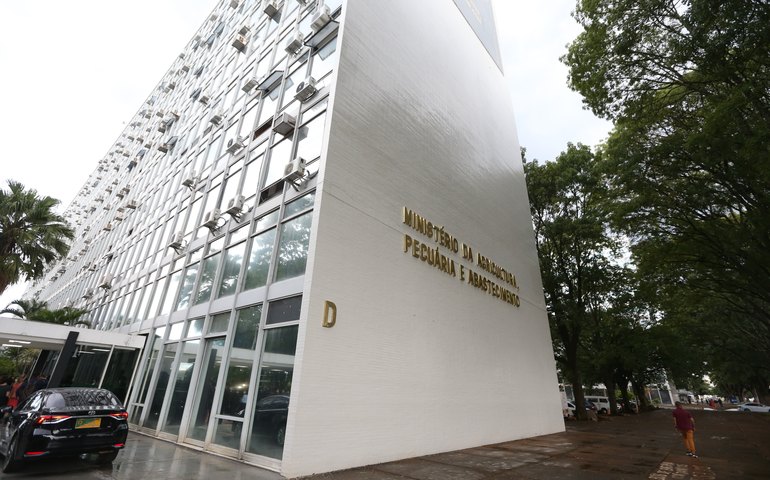 Gripe Aviária: RS realiza ações de monitoramento para manter doença longe das granjas