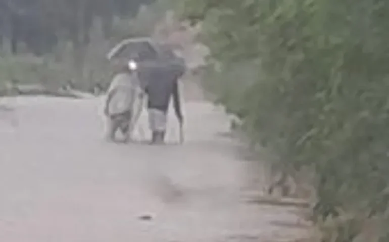 Ponte de acesso a comunidade quilombola de Pau D’arco em Arapiraca, está interditada