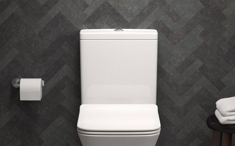 Dicas ajudam a manter a bacia sanitária sempre limpa e preservada