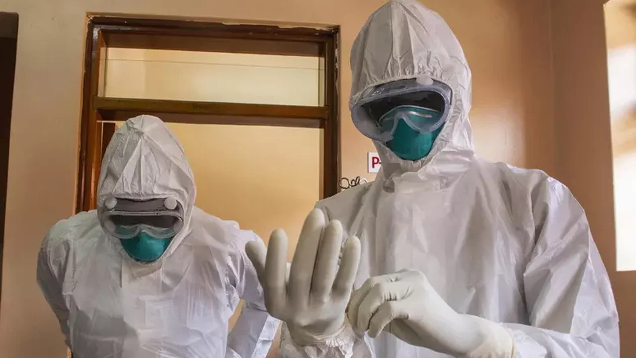 Ebola: qual o risco do surto chegar ao Brasil? Infectologistas respondem