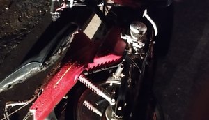 Motociclista morre após colidir com cavalo em São Cristóvão / Foto: Foto: Polícia Militar/SE
