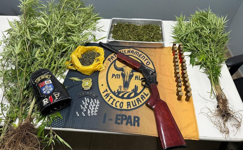 Polícia prende homem com plantação de maconha e arma de fogo em Palmeira dos Índios