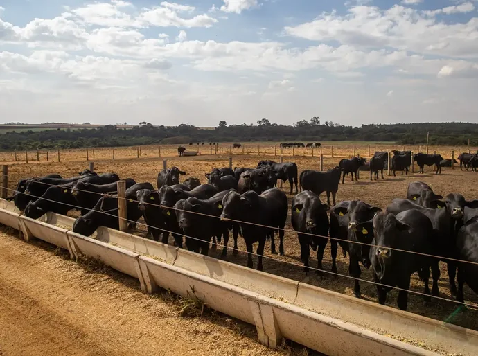 Atividade econômica brasileira cresce 2,5% em 2025