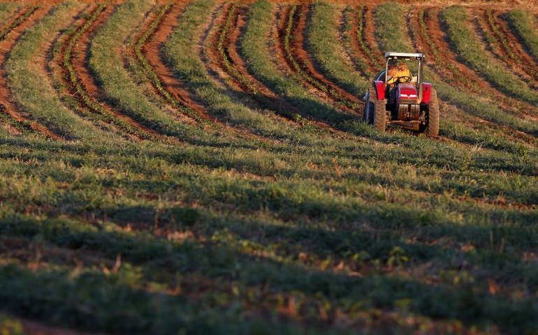 Países árabes têm interesse em ampliar exportação de fertizantes para Brasil