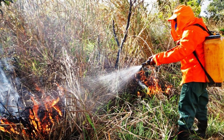 Brigadistas temporários vão combater queimadas durante a seca