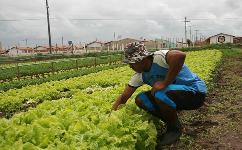 Ações da Seagri contribuem com o desenvolvimento rural em Alagoas