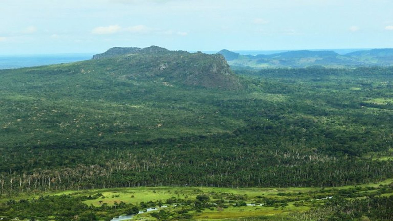 Lei autoriza comércio de crédito de carbono e acesso à biodiversidade em florestas públicas