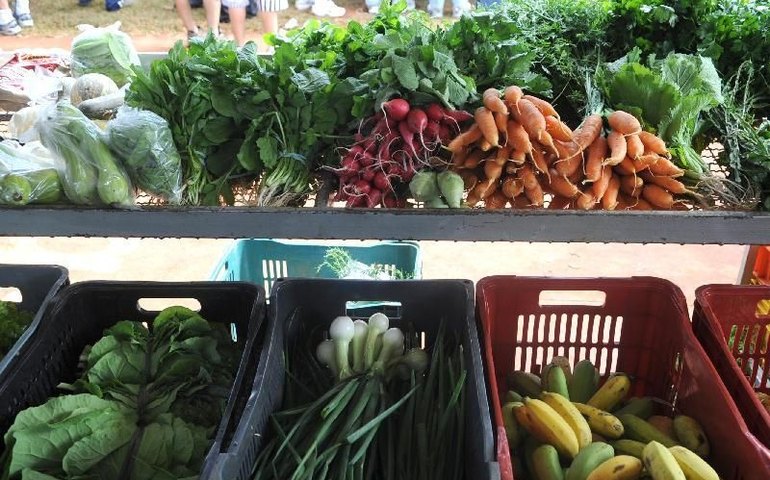 IPC-S desacelera a 0,09% na 3ª quadrissemana de agosto, após 0,31% na 2ª prévia, diz FGV