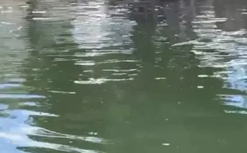 Homem é encontrado morto com marcas de agressão e tiros no Vergel do Lago