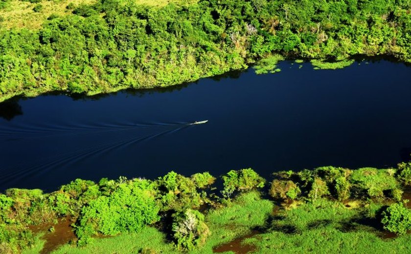 Cúpula da Amazônia pode ter meta comum para eliminar o desmatamento ilegal