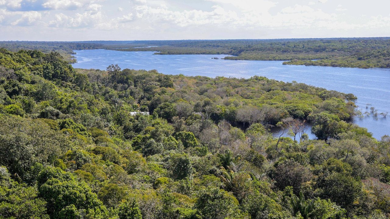 Desmatamento atinge menor nível da série histórica na Amazônia e no Cerrado
