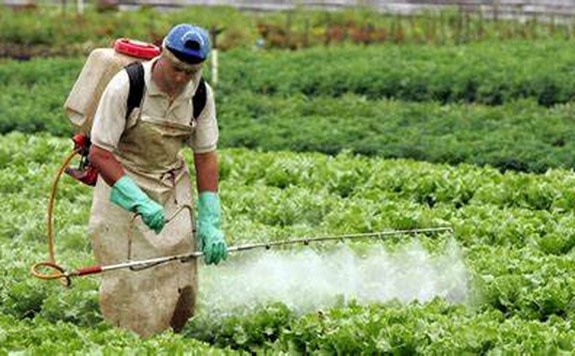 Agrônomos estão preocupados com o uso excessivo de agrotóxico em Alagoas