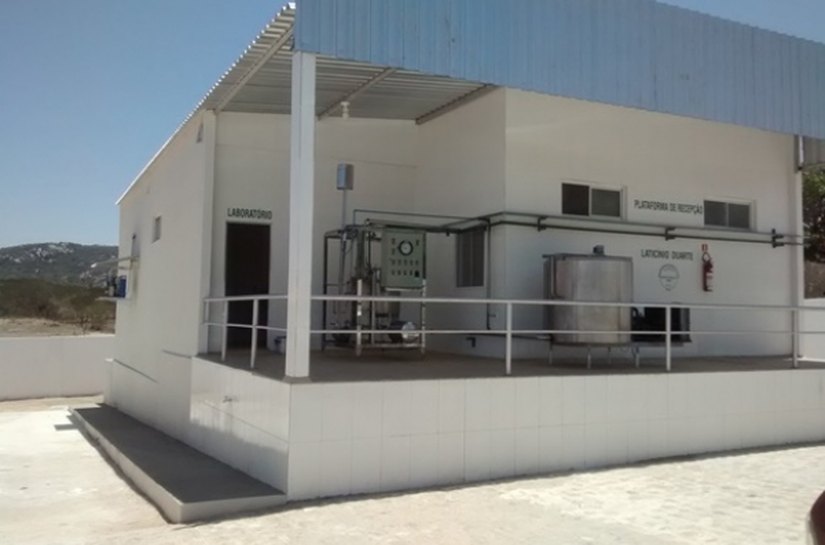 Laticínios iniciam uma nova realidade no Sertão de Alagoas