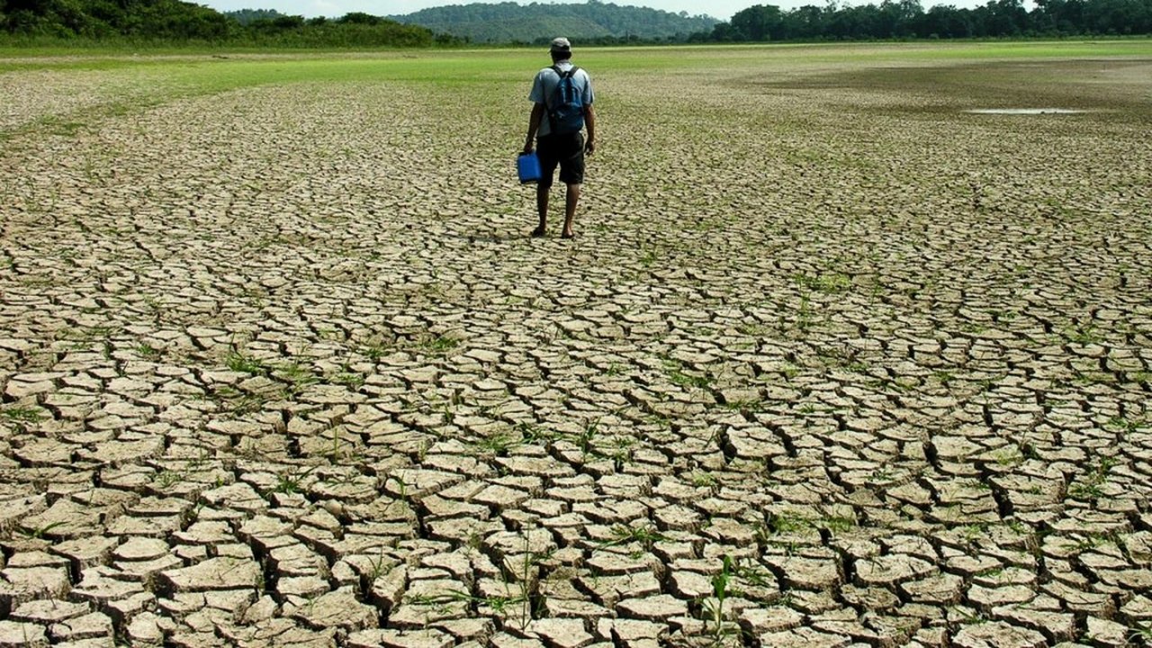 Seca provocou prejuízos à produção cafeeira no Brasil em 2020