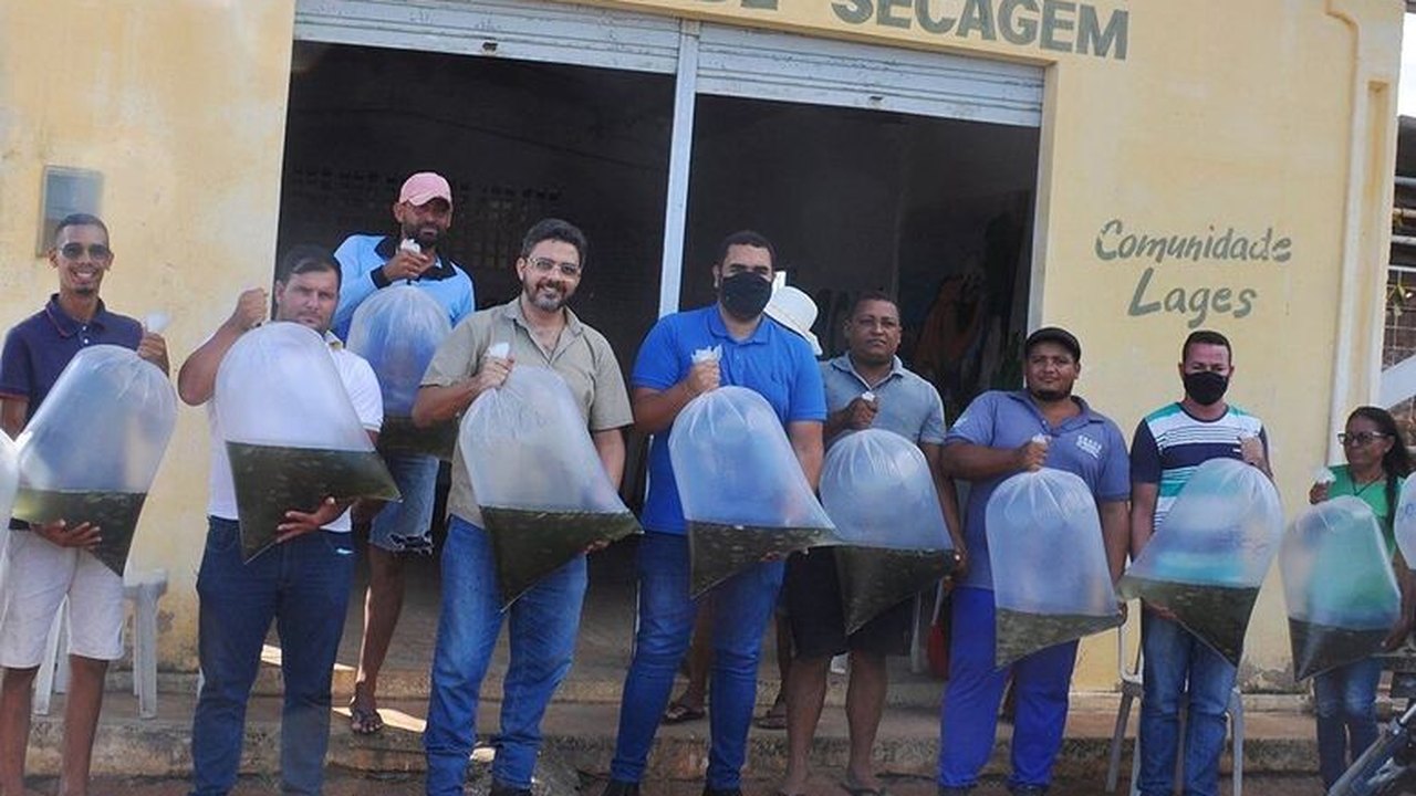 Prefeitura de Piranhas distribui alevinos para produtores da agricultura familiar