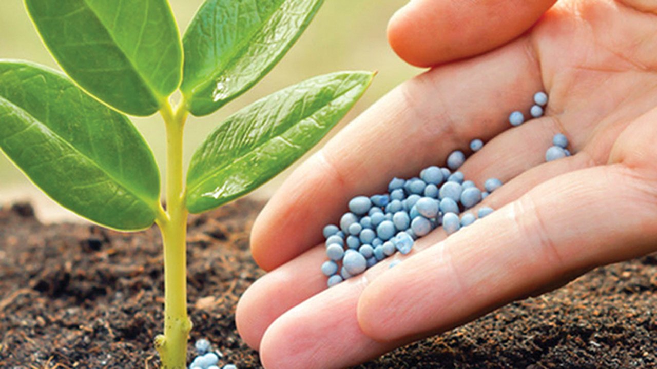 Fertilizante tem alta de 100% e encarece custo